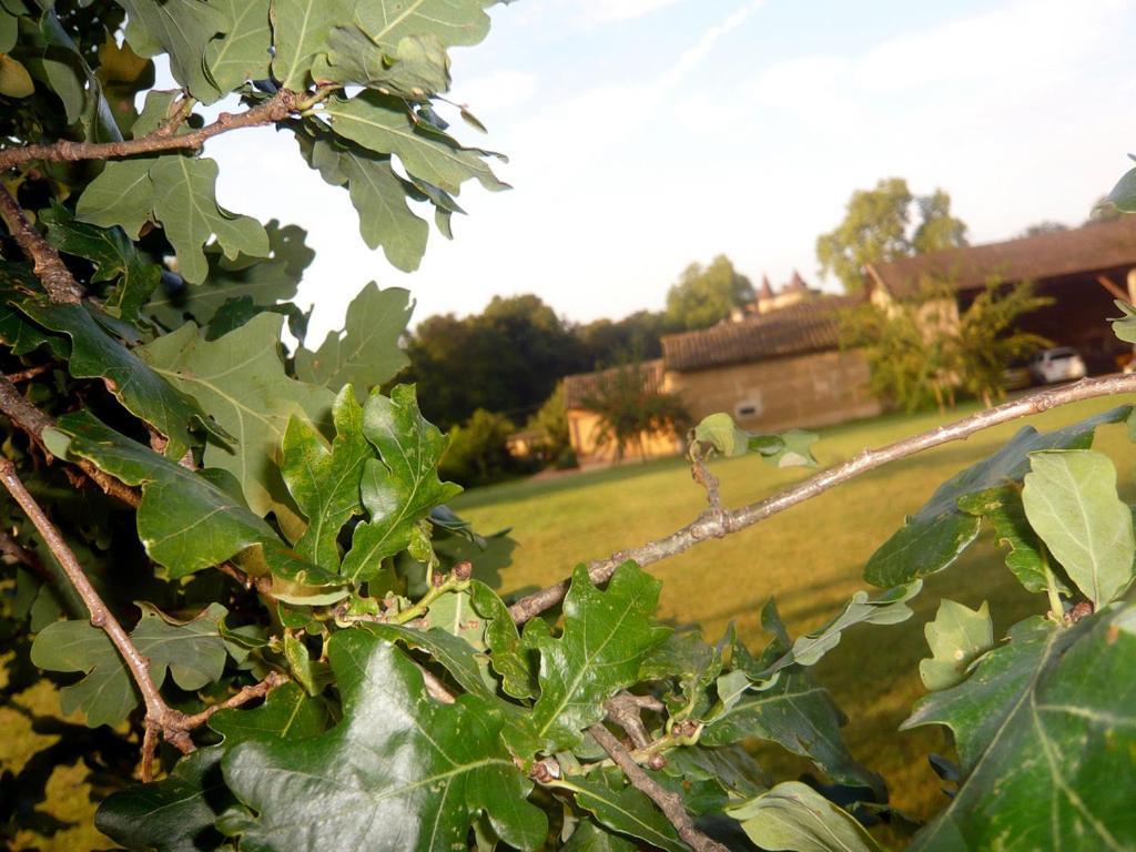 Bed & Breakfast - Maison De Marie Messimy-sur-Saone Eksteriør billede