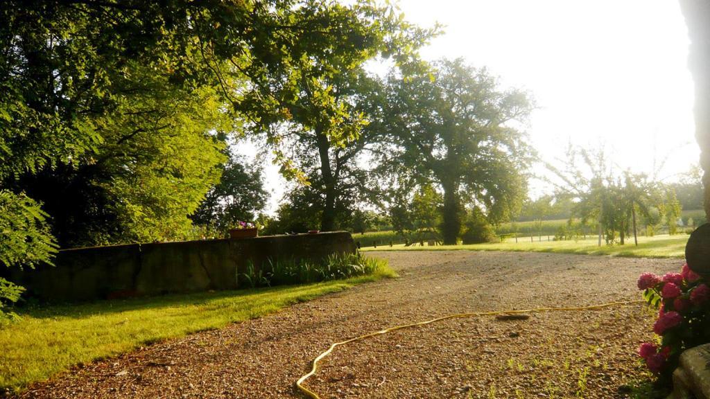 Bed & Breakfast - Maison De Marie Hotel Messimy-sur-Saone Eksteriør billede