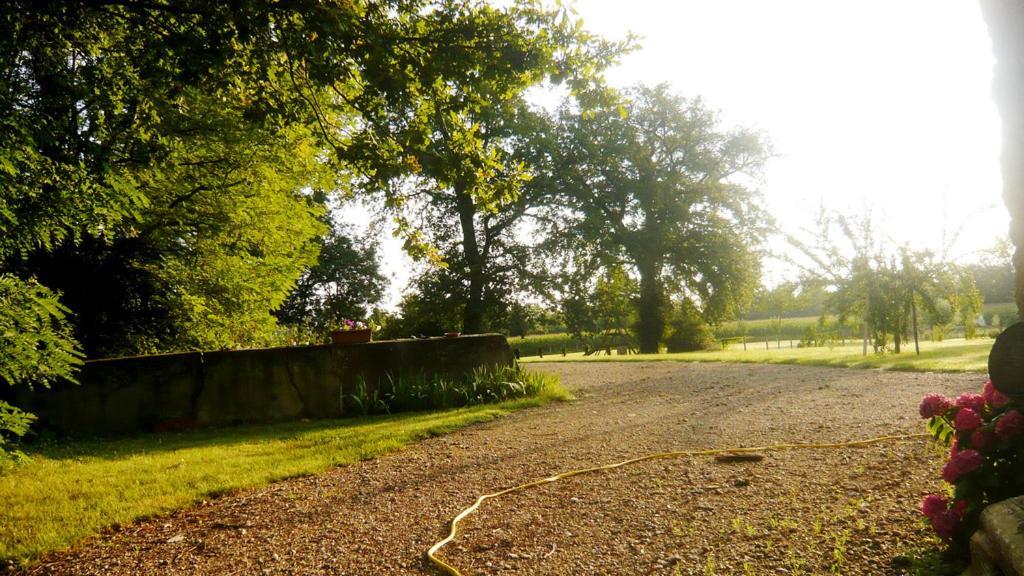 Bed & Breakfast - Maison De Marie Messimy-sur-Saone Eksteriør billede