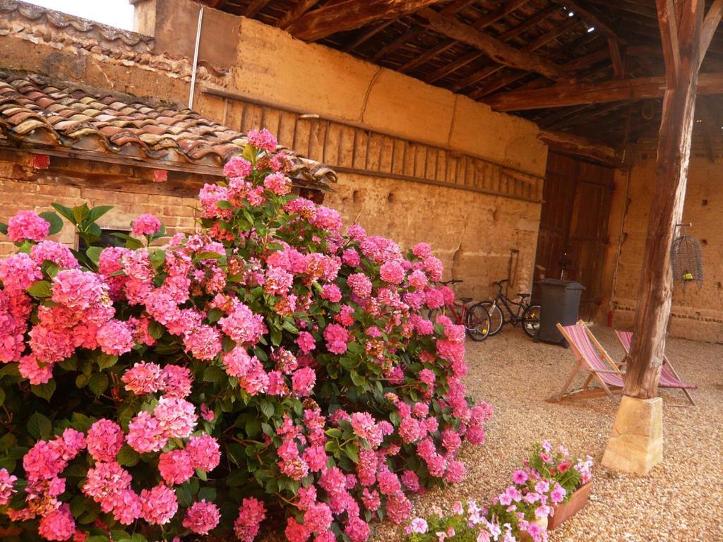 Bed & Breakfast - Maison De Marie Messimy-sur-Saone Eksteriør billede