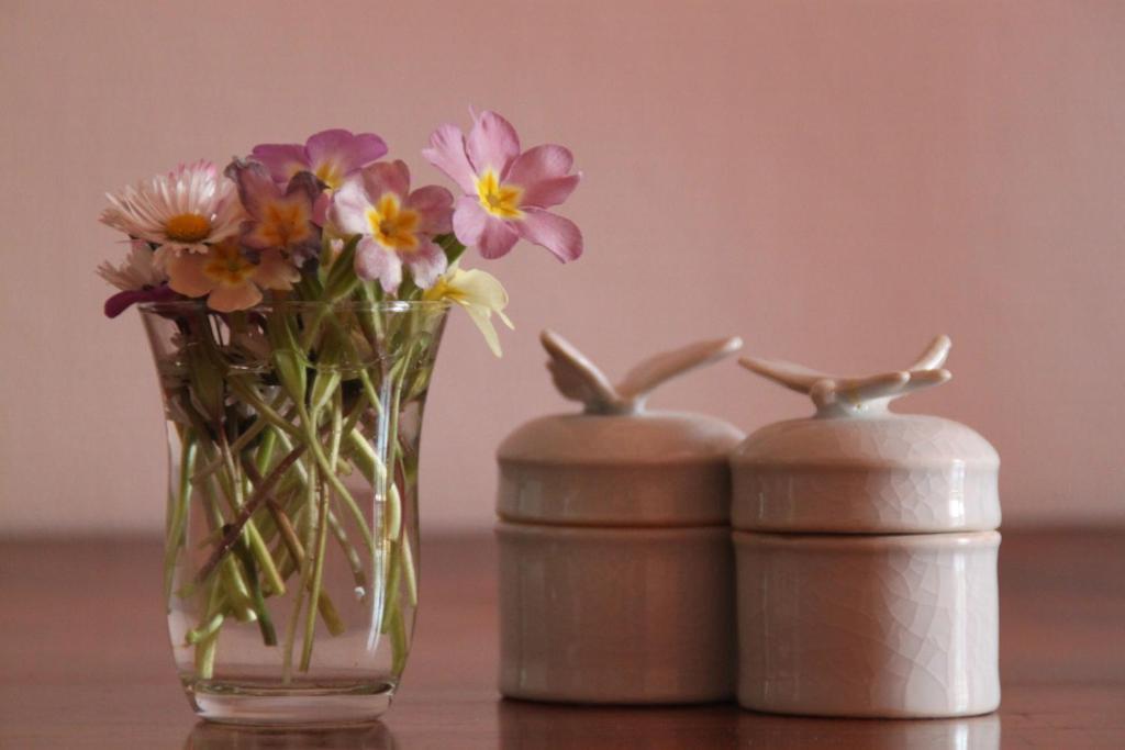 Bed & Breakfast - Maison De Marie Messimy-sur-Saone Værelse billede